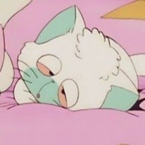 Meet your Posher, Noelle